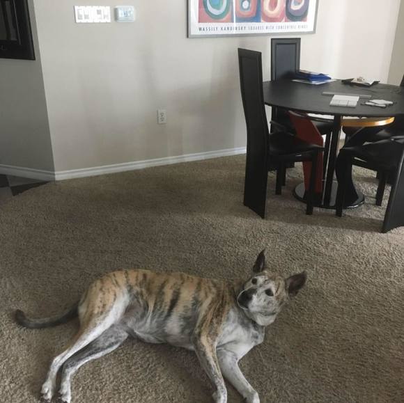 Meet your Posher, Lisa - Picture 1 of 1